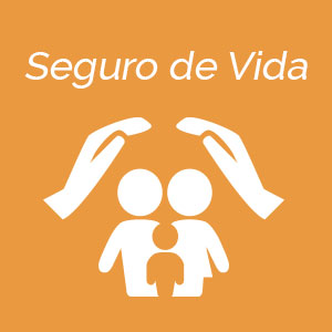 Motivos Seguro Vida